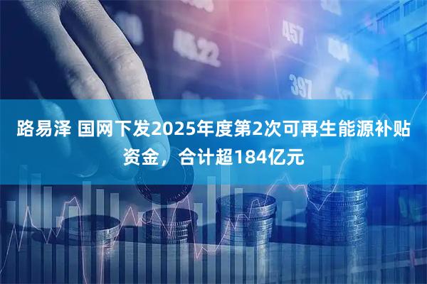 路易泽 国网下发2025年度第2次可再生能源补贴资金，合计超184亿元